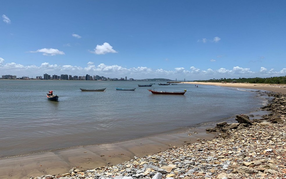 Peixe-boi é encontrado na foz do Rio Sergipe na Grande Aracaju
