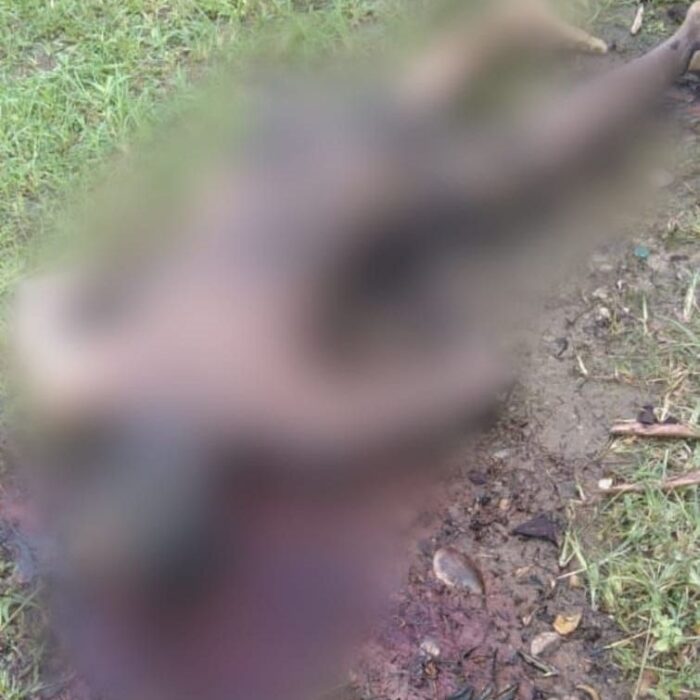 Corpo carbonizado é encontrado na zona rural de Neópolis