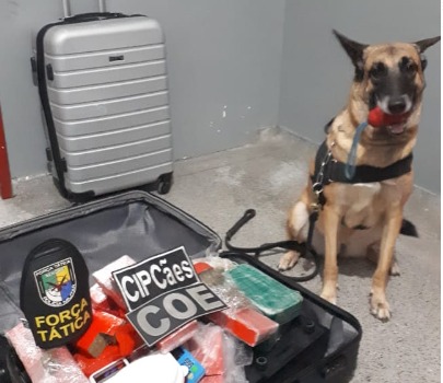 Homem é preso com 12kg de drogas dentro de casa em Aracaju